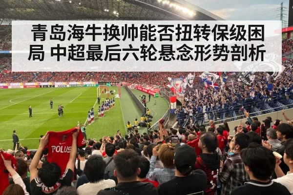 football stadium fans